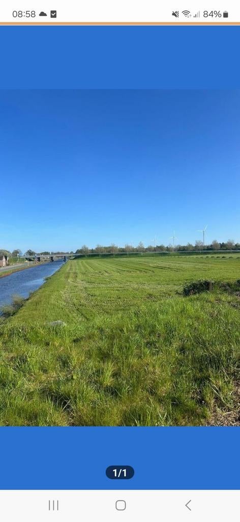 Weiland Almelo gezocht, Dieren en Toebehoren, Stalling en Weidegang