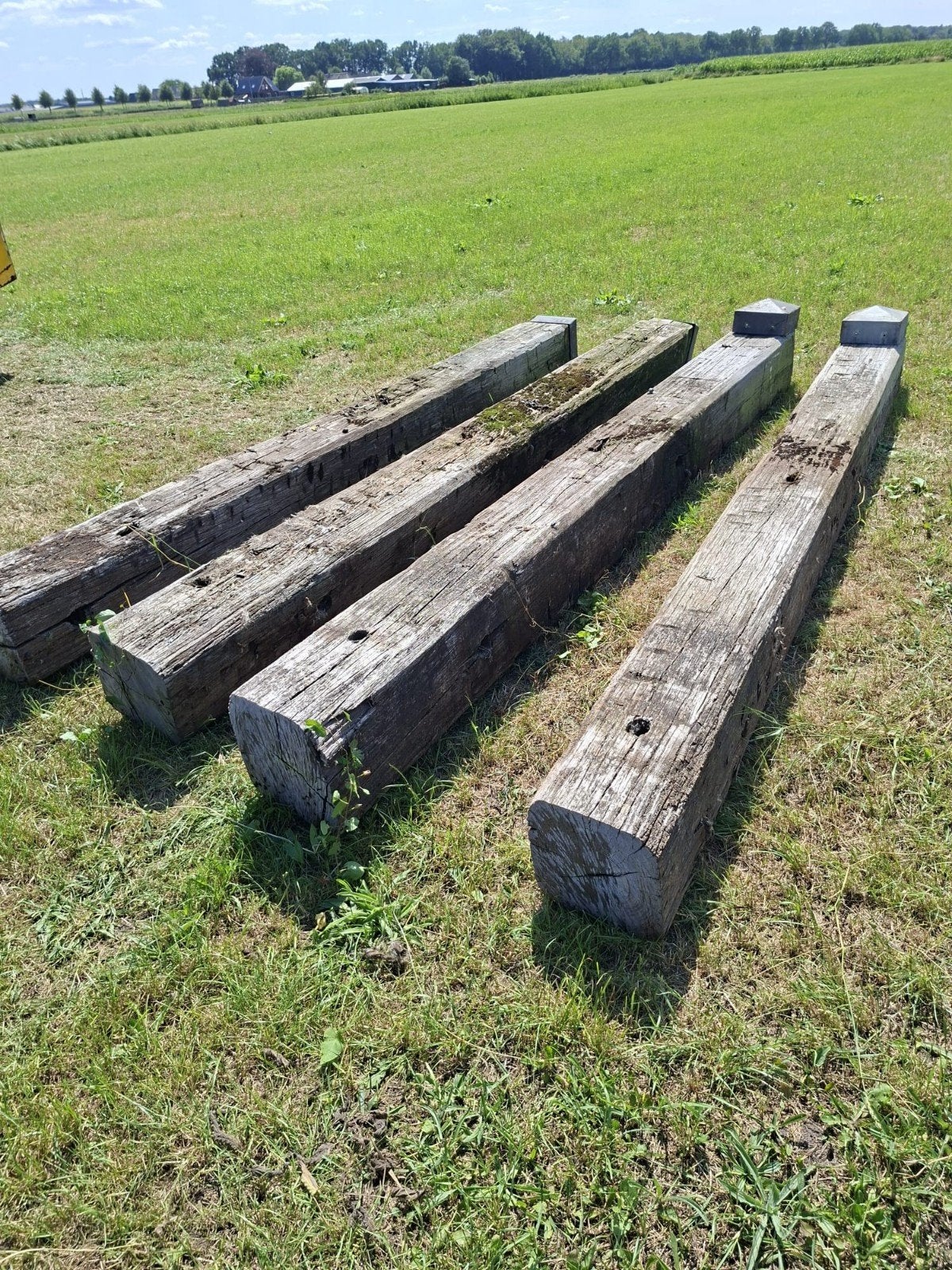 4 meerpalen/dukdalven met bijbehorende pet, Ophalen, Gebruikt, 25 tot 50 mm, 300 cm of meer