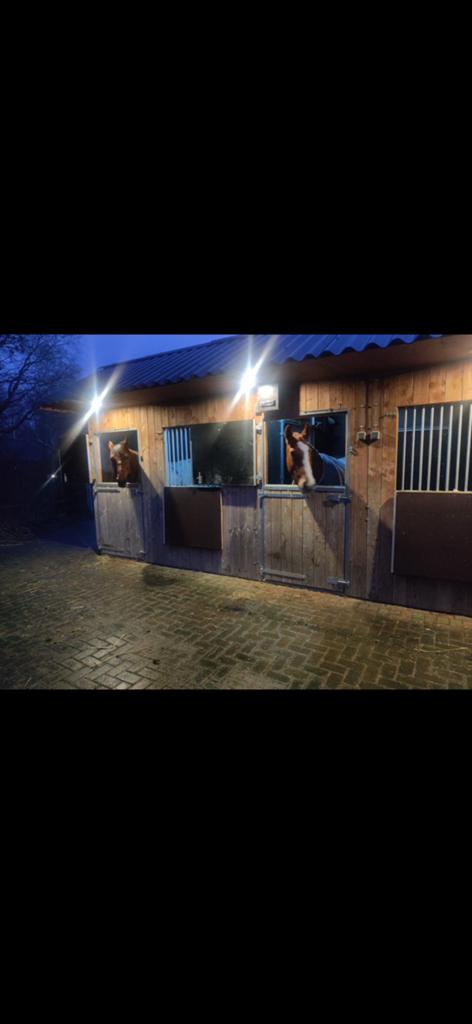 Paardenstaling incl zomerwei aangeboden Noorderhoogebrug. Gr