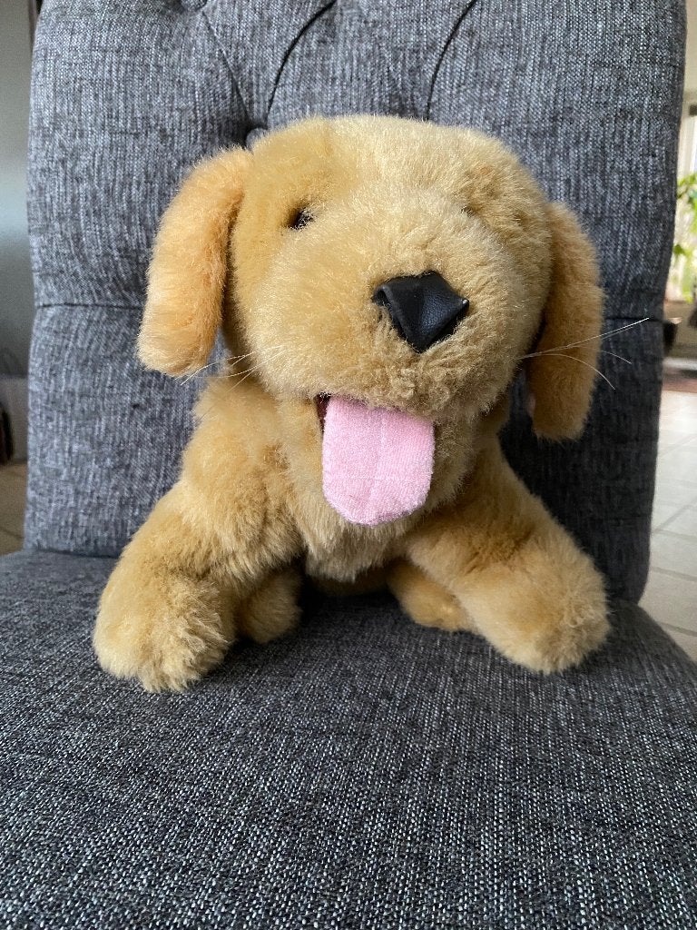 Schattige Golden Retriever knuffel - Zo goed als nieuw, Kinderen en Baby's, Overige merken, Overige karakters, Zo goed als nieuw