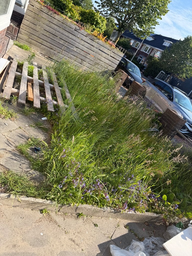 GEZOCHT onkruid weghaler, Ophalen of Verzenden, Zo goed als nieuw, Hout