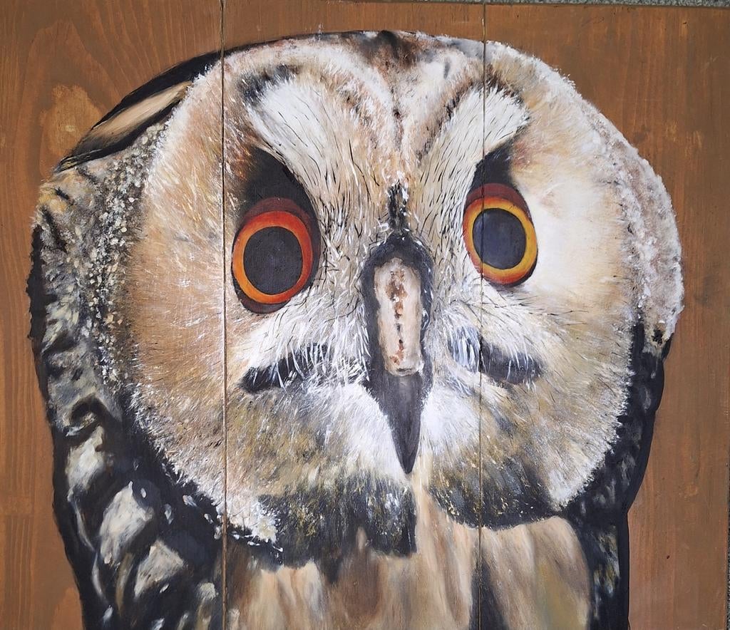 Uil op steigerhout, Ophalen