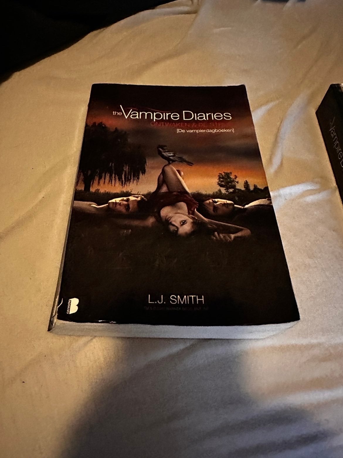 The Vampire Diaries: Razernij & Duister Weerzien (Deel 1&2, Ophalen of Verzenden, Gelezen, Fictie