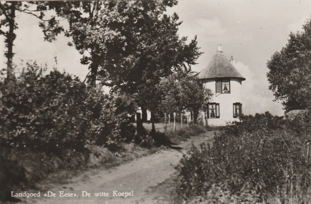 steenwijk- landgoed de eese, Ophalen of Verzenden, 1940 tot 1960, Overijssel
