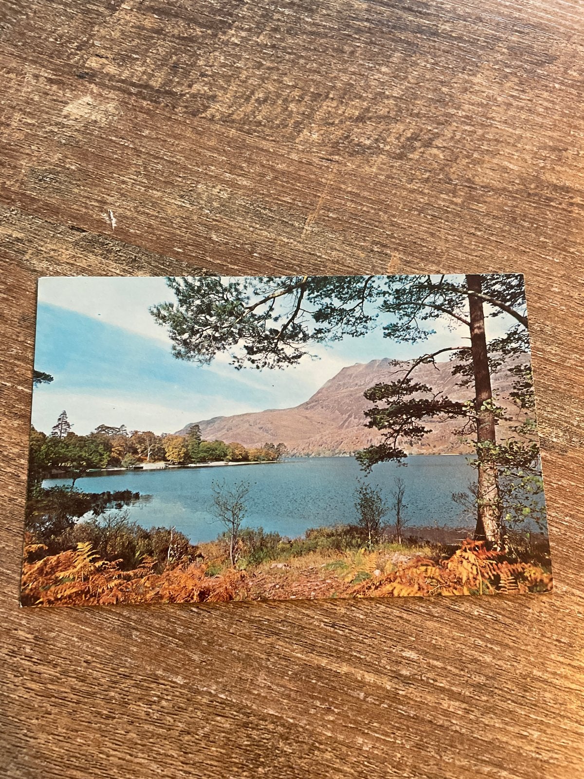 Vintage Ansichtkaart Loch Maree, Schotland (1960-1980), Verzamelen, Ophalen of Verzenden, 1960 tot 1980, Gelopen, Engeland