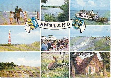 Ansichtkaart 	Ameland	9-luik	Vuurtoren	Paarden, Verzenden, 1960 tot 1980, Gelopen, Waddeneilanden