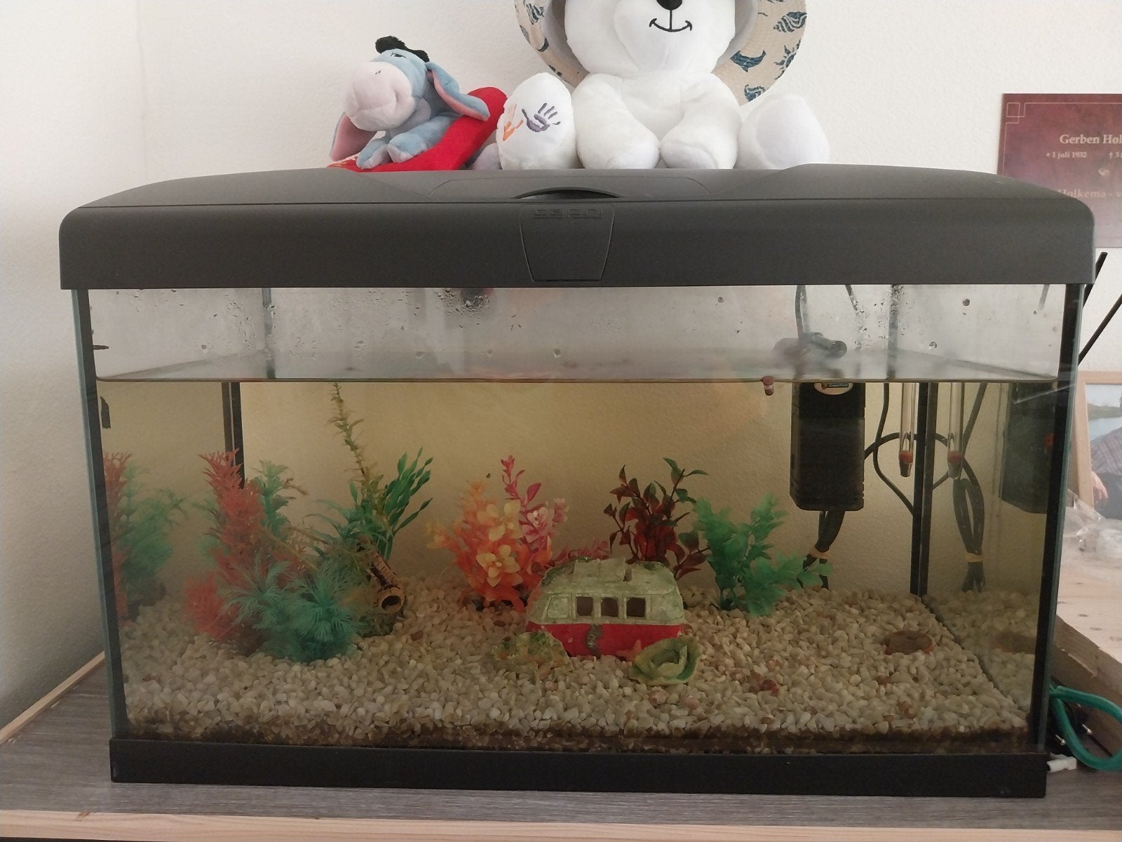Aqarium met alles er op en er aan, Dieren en Toebehoren, Vissen | Aquaria en Toebehoren, Ophalen