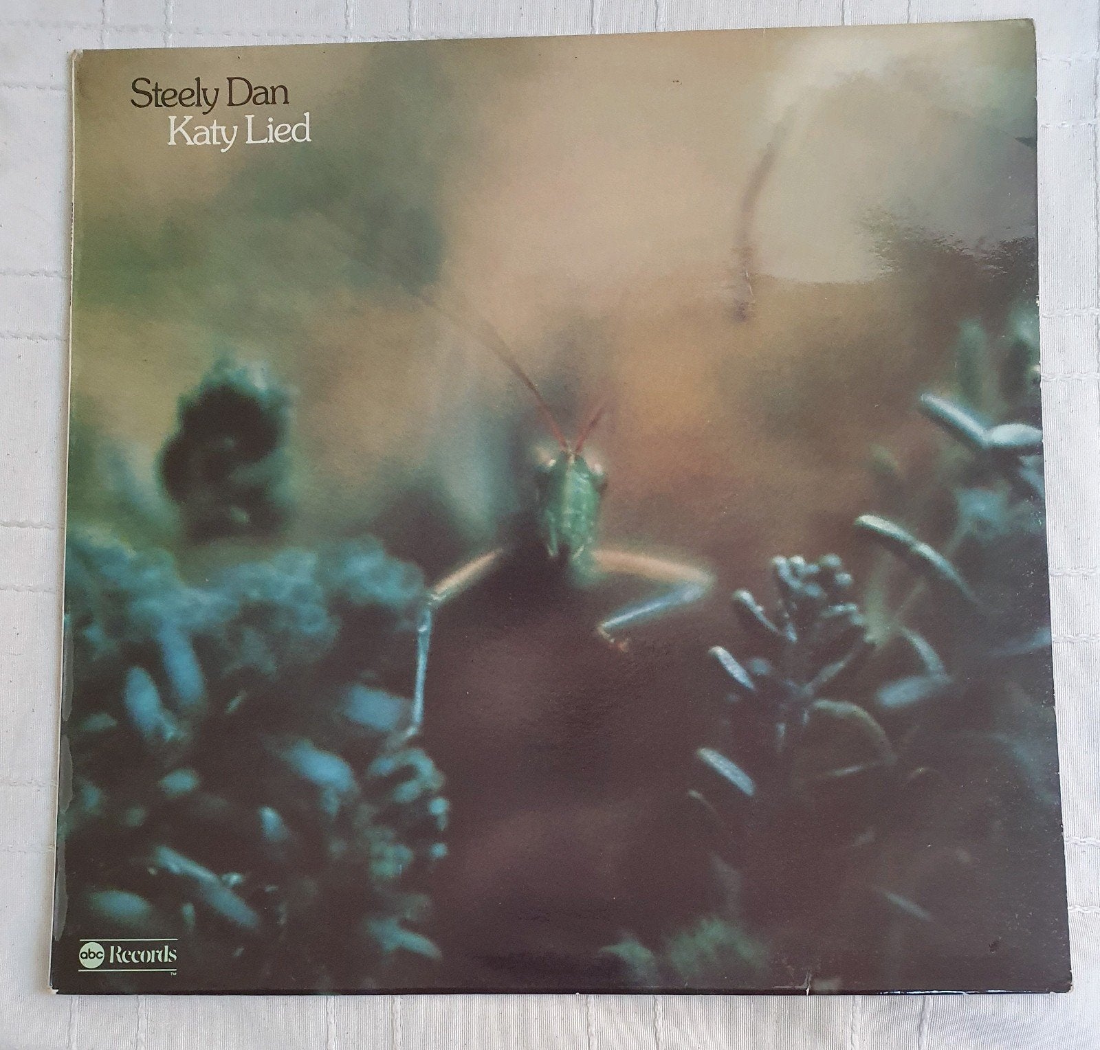 LP Steely Dan - Katy lied - 5C 062 96277 - 1975, LP, Gebruikt, Verzenden, 12 inch