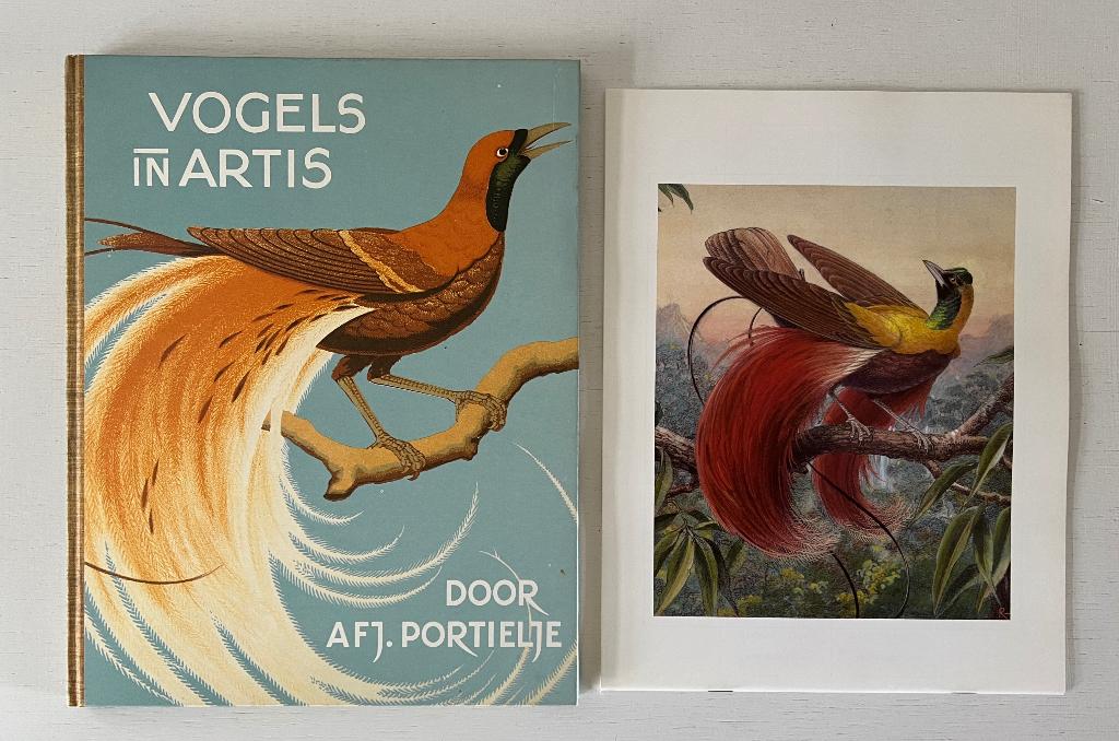 Vogels in Artis door A.F.J. Portielje, Ophalen of Verzenden, Gelezen