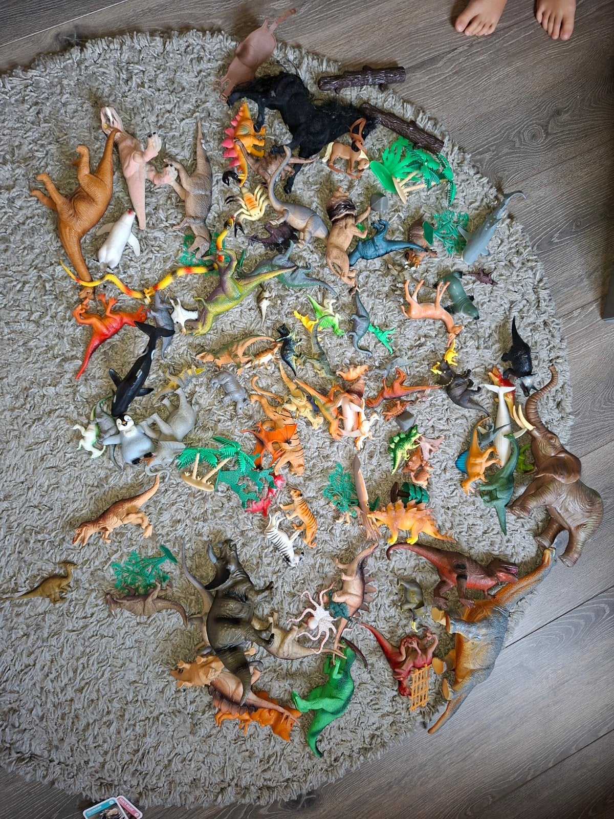Dinosaurus en wilde dieren, Ophalen of Verzenden, Jongen of Meisje