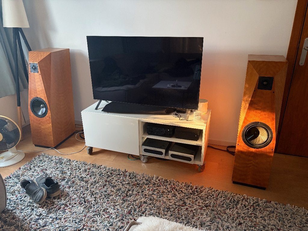 Avalon Acoustics Eclipse speakers, Audio, Tv en Foto, Luidsprekers, Stereo speakers, Gebruikt, 120 tot 150 watt, Ophalen