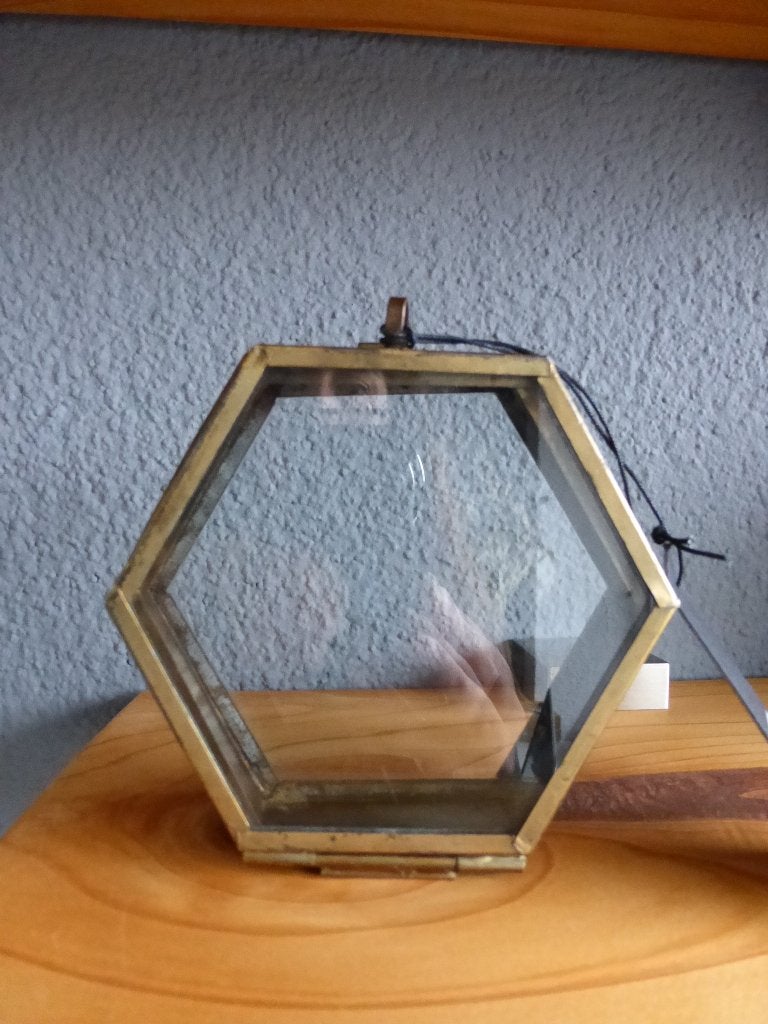 Vitrine doosje / display box van ptmd / glazen kistje ptmd, Ophalen of Verzenden, Nieuw, Metaal
