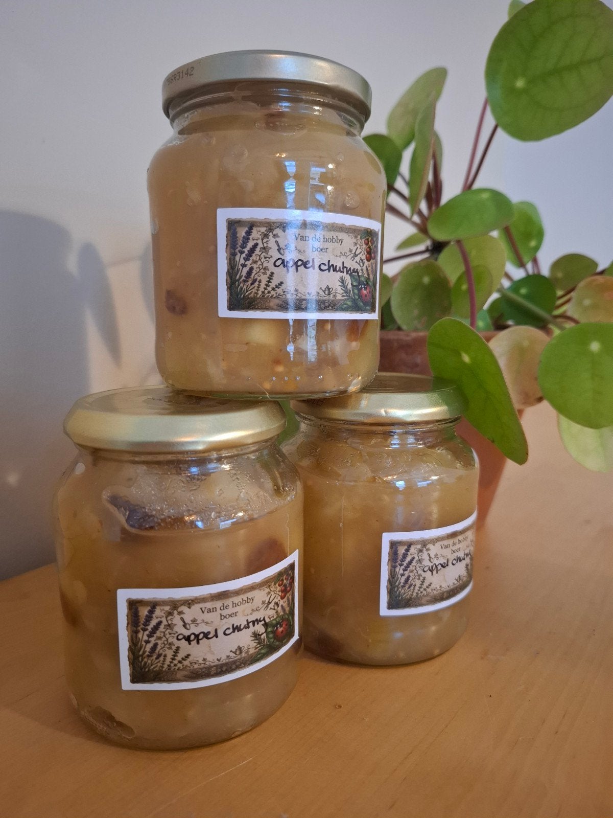 biologische appel chutny, Ophalen of Verzenden