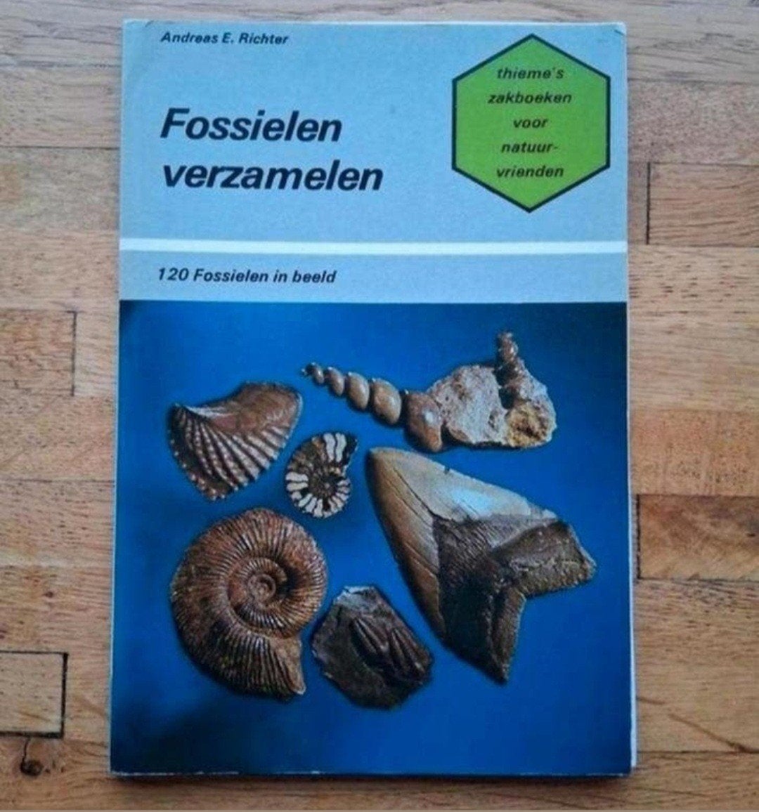 Fossielen verzamelen
120 Fossielen in beeld
Fotoboek en info, Boeken, Natuur, Ophalen of Verzenden, Zo goed als nieuw