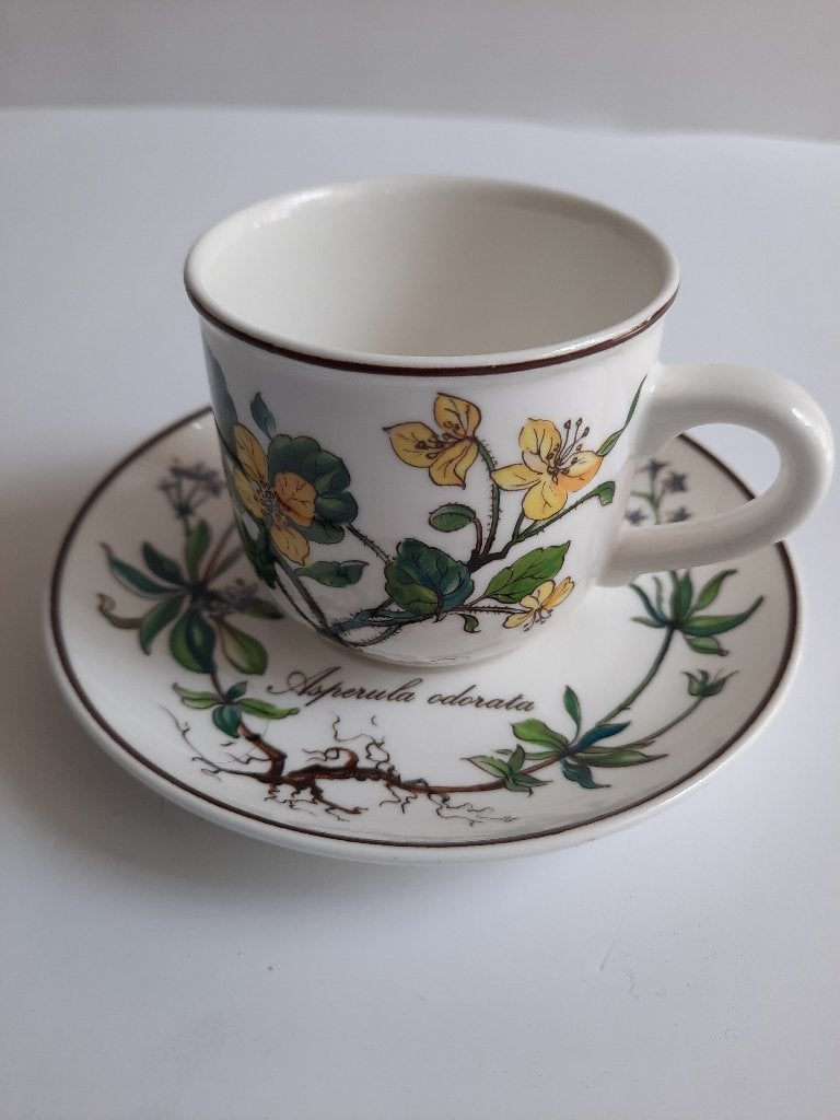 Espressokop en schotel mokkakopje Villeroy&Boch Botanica, Villeroy & Boch, Nieuw, Ophalen of Verzenden, Overige stijlen