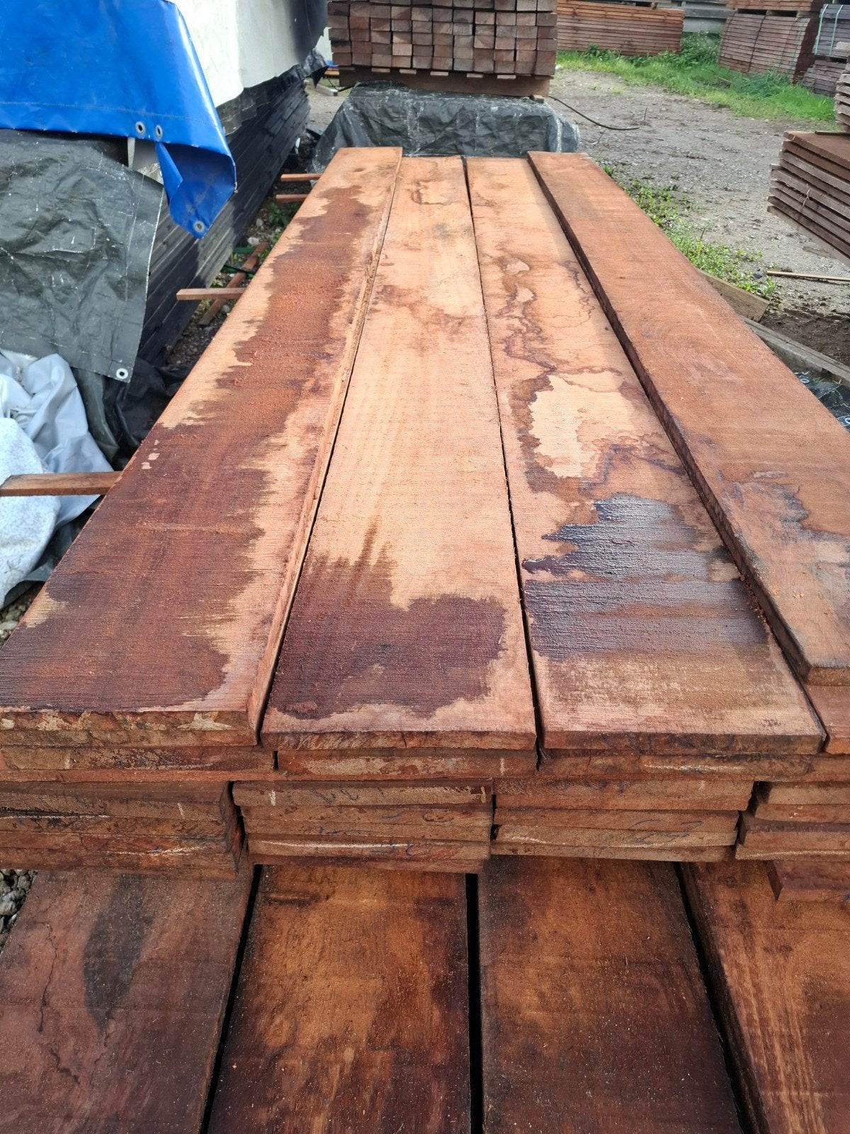 30 stuks hardhout beschoeiing planken 250x20 bezorgen mogeli, Ophalen, Planken, Nieuw, Hardhout
