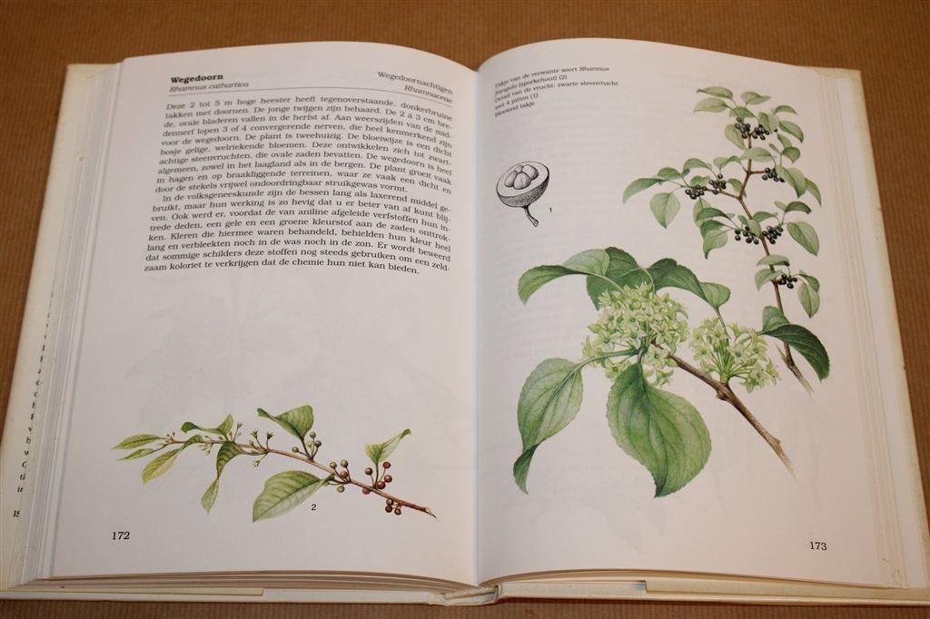 Giftige Planten — Herkenning & Beschrijving, Ophalen of Verzenden, Gelezen, Bloemen, Planten en Bomen
