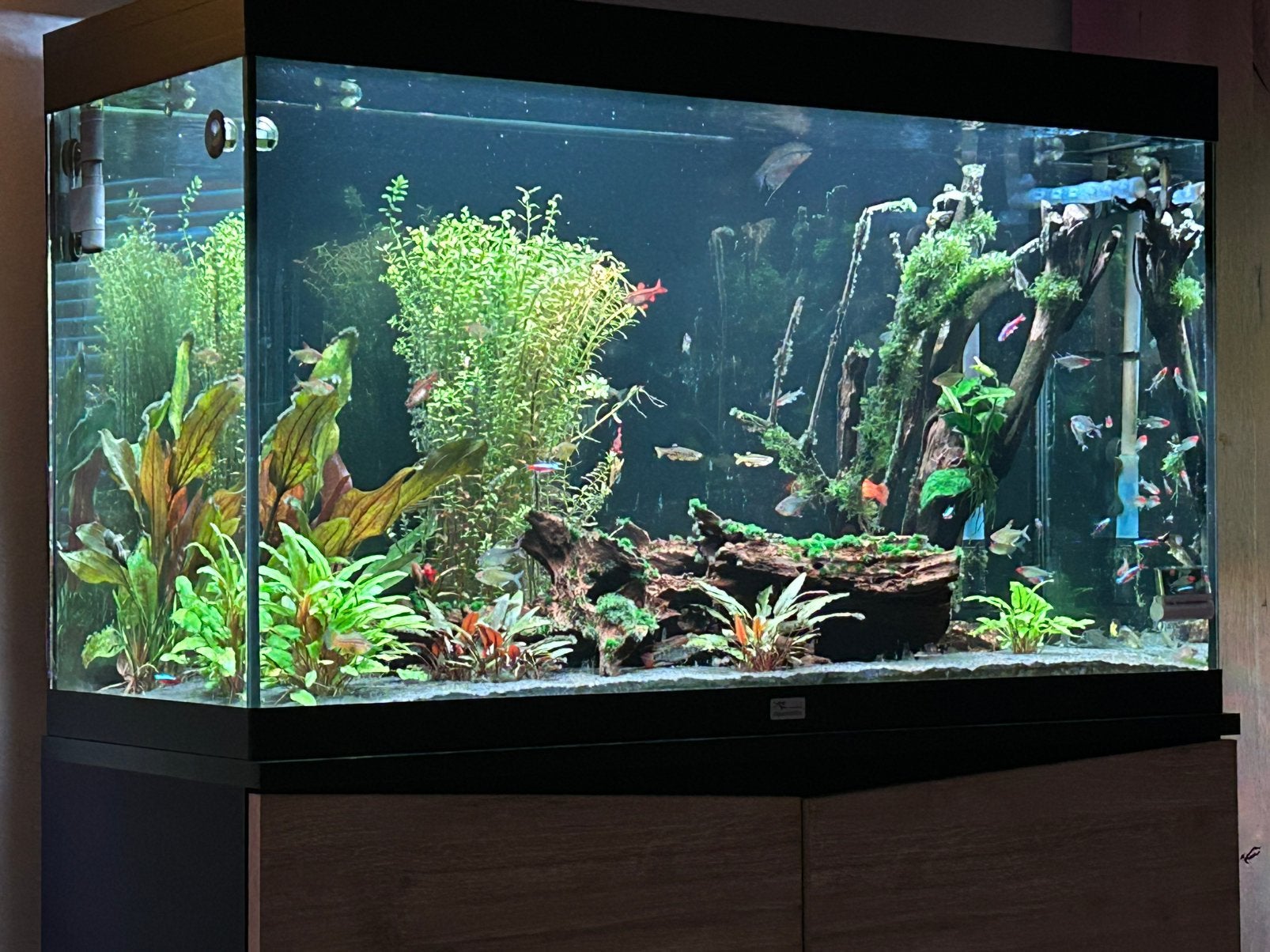 Aquatlantis splendid ultra 100, Ophalen, Zo goed als nieuw, Leeg aquarium