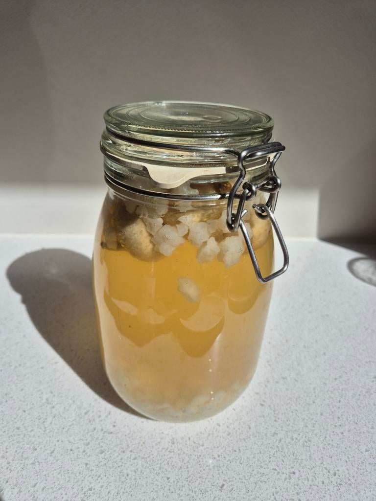Waterkefir en melkkefir korrels, Diversen, Levensmiddelen, Ophalen