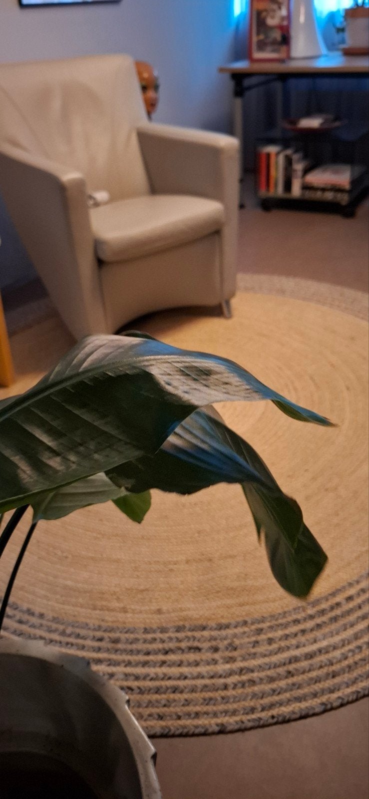Rond vloerkleed 200 cm met blauwe bies, Gebruikt, Blauw, Rond, 200 cm of meer