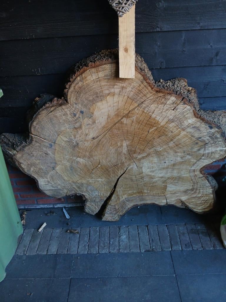Grote Eiken Boomstamschijf - Uniek Decoratiestuk, Gebruikt, Eiken, Overige typen, Ophalen of Verzenden