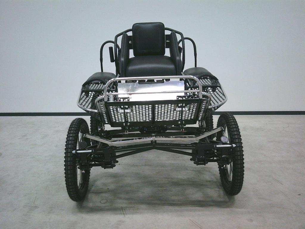 Nieuwe pony-Marathonwagen enkelspan. Leon Revolution., Niet ingevuld, Pony, Niet ingevuld, Nieuw