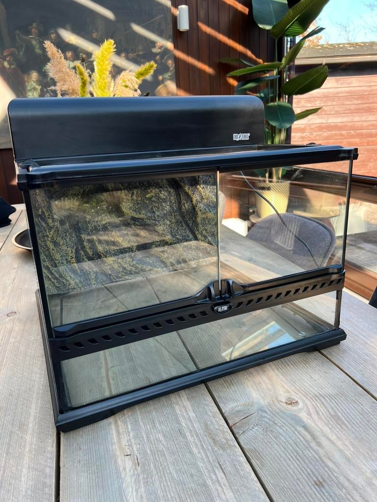 Terrarium exo-terra 46x46x32, Dieren en Toebehoren, Reptielen en Amfibieën | Toebehoren, Ophalen, Zo goed als nieuw, Terrarium of Paludarium