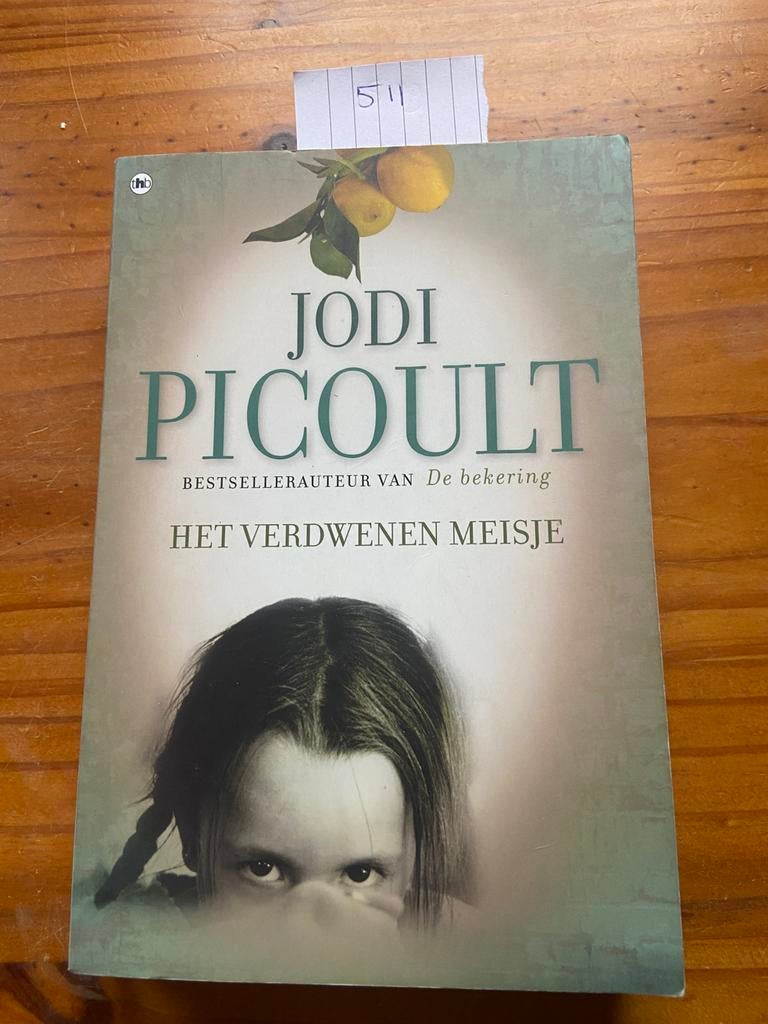Het verdwenen meisje Jodi Picoult, Ophalen of Verzenden, Zo goed als nieuw, Europa overig