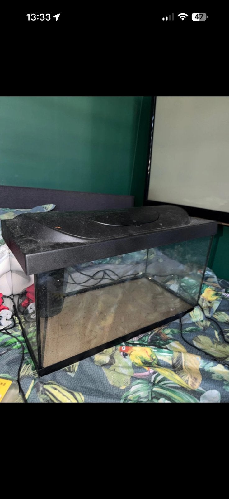 Aqauriam met steentjes, planten, verlichting,voer, Dieren en Toebehoren, Vissen | Aquaria en Toebehoren, Ophalen of Verzenden