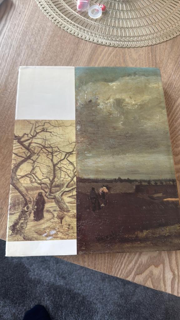 Van Gogh boek, Ophalen of Verzenden, Zo goed als nieuw