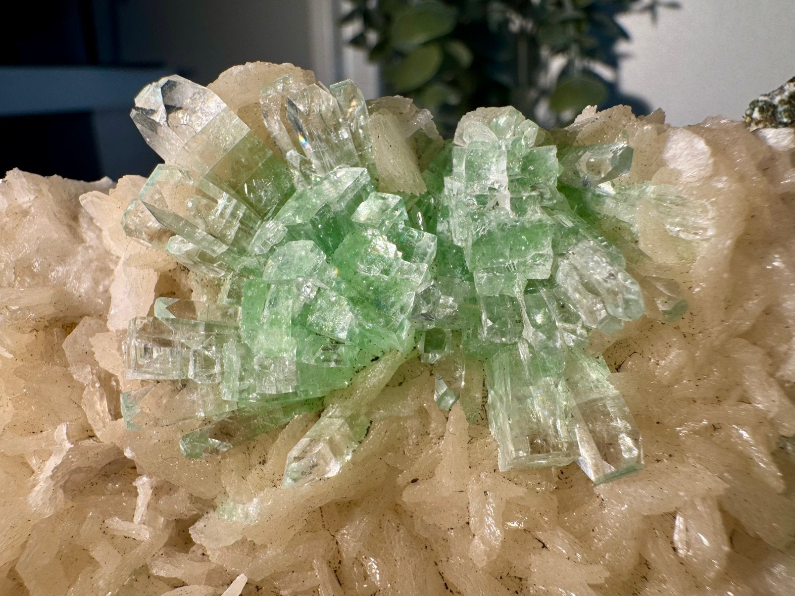 Groene apofylliet Maharashtra, Verzamelen, Mineralen en Fossielen, Ophalen of Verzenden