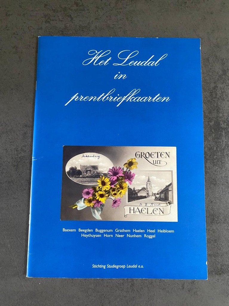 Het Leudal in prentbriefkaarten, Ophalen of Verzenden, Gelezen
