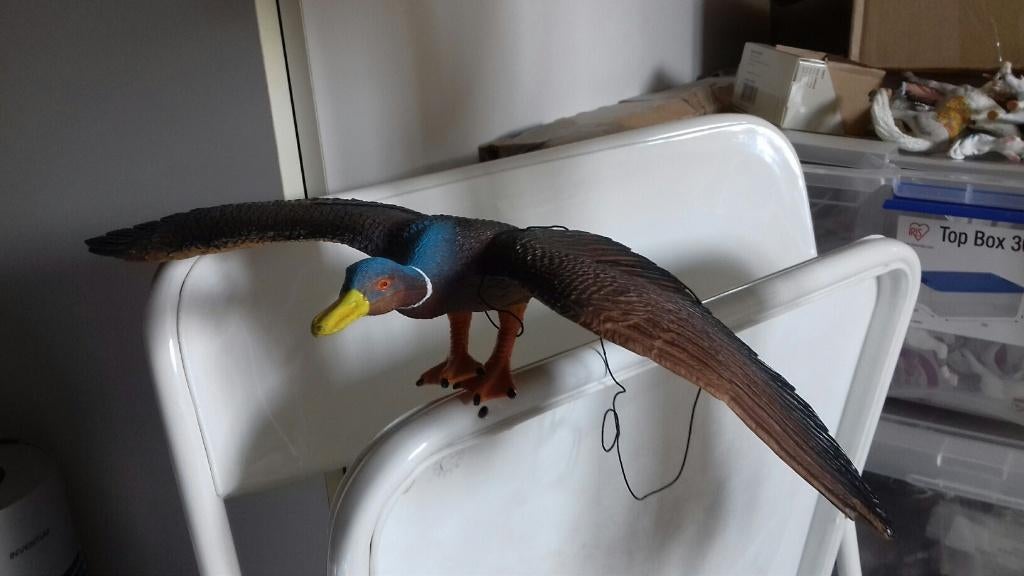 Deco-eend voor aan het plafond, Verzamelen, Dierenverzamelingen, Ophalen of Verzenden, Gebruikt, Vogel, Opgezet dier