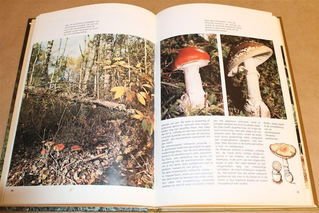 Paddestoelen — Nieuwe Standaard Beeld in Kleur, Ophalen of Verzenden, Gelezen