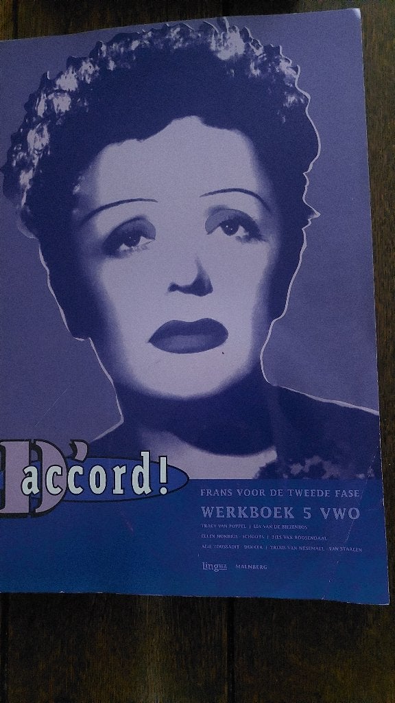 d'accord!  FRANS voor de tweede fase WERKBOEK 5 VWO, Boeken, Schoolboeken, Ophalen of Verzenden, Zo goed als nieuw, VWO, Frans