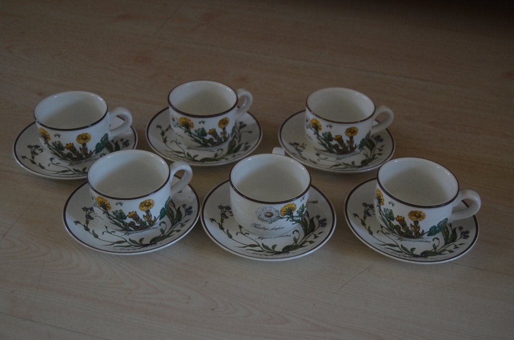 Villeroy & Boch - Tafelservies Botanica kop & schotels, Ophalen, Villeroy & Boch, Nieuw, Overige stijlen