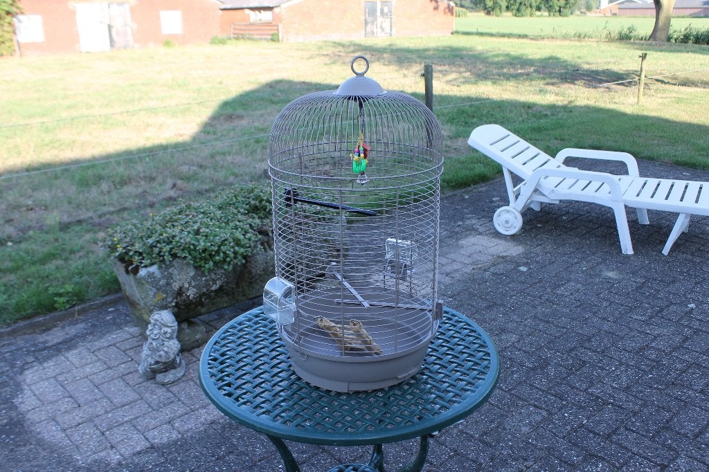 vogelkooi, Ophalen, Zo goed als nieuw, Metaal, Vogelkooi