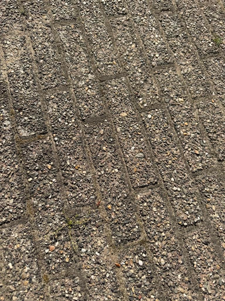 Gebruikte terrastegels, Ophalen, Zo goed als nieuw, Beton, 10 m² of meer