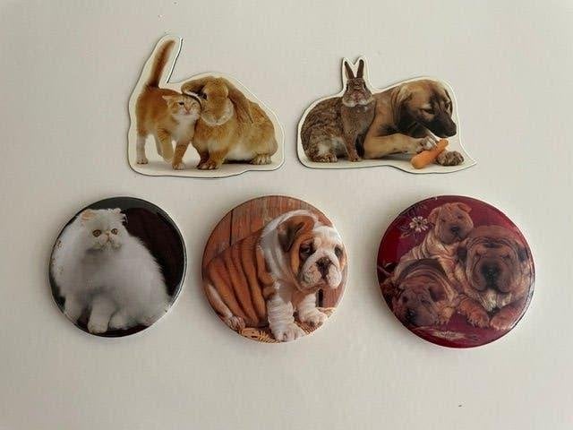 Honden Kat Konijnen Magneet Magneten, Ophalen of Verzenden, Nieuw, Dier