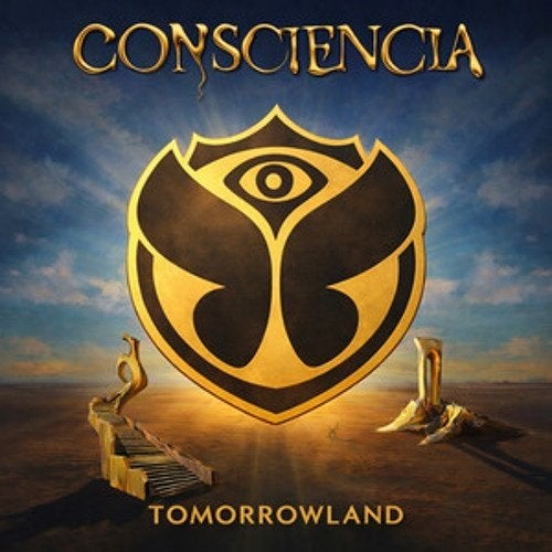 Gezocht: 1 ticket zondag W2 Tomorrowland, Eén persoon