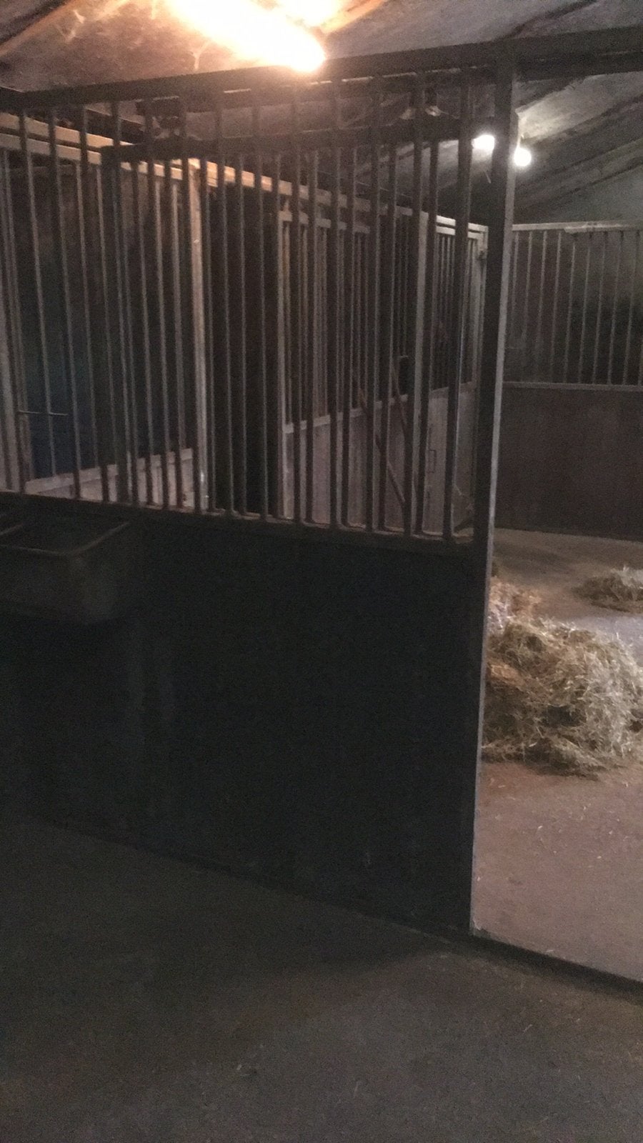 Paardeboxen 2.40 hoog