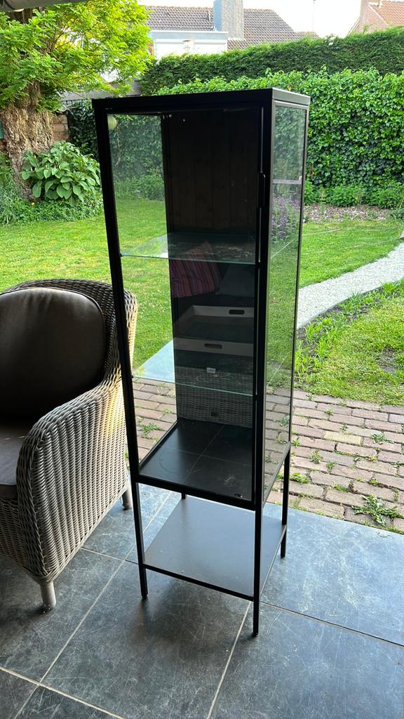 Ikea rudsta kast vitrine green house greenhouse vitrinekast, Ophalen, Minder dan 50 cm, Zo goed als nieuw, 150 tot 200 cm