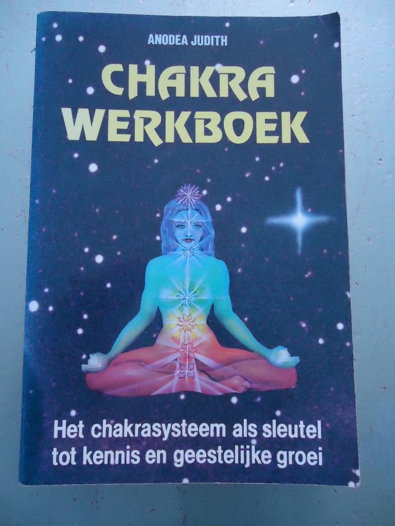 Chakra werkboek /Anodea Judith, Gelezen, Spiritualiteit algemeen, Ophalen of Verzenden, Instructieboek