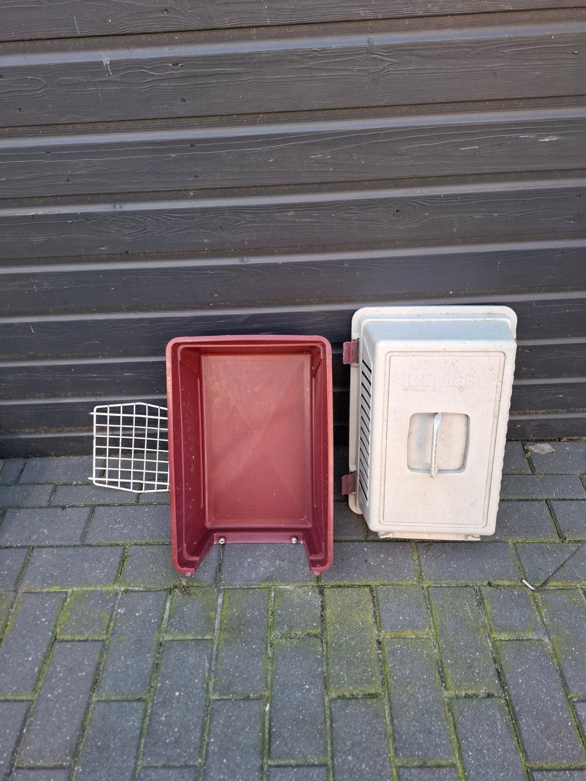 reismandje kat/ knaagdier, Ophalen of Verzenden