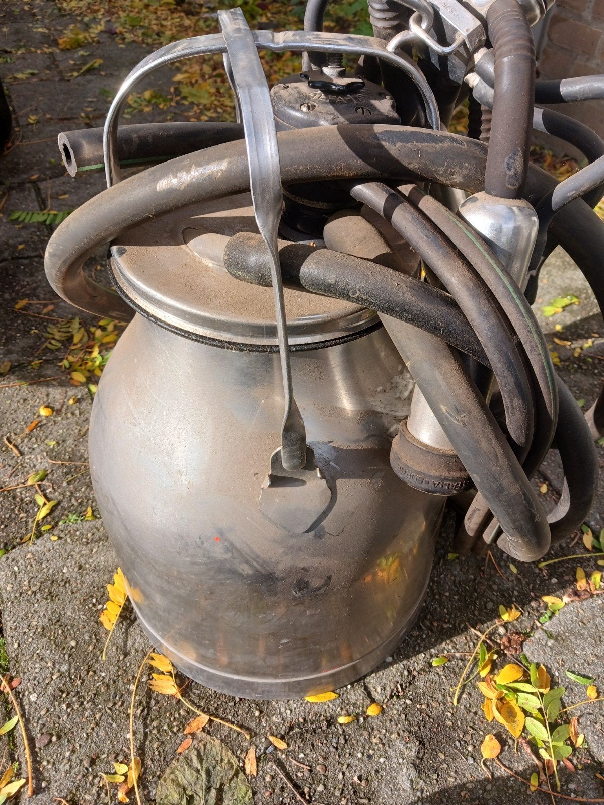 melkemmer melkmachiene alfa laval, Dieren en Toebehoren, Ophalen of Verzenden, Nieuw