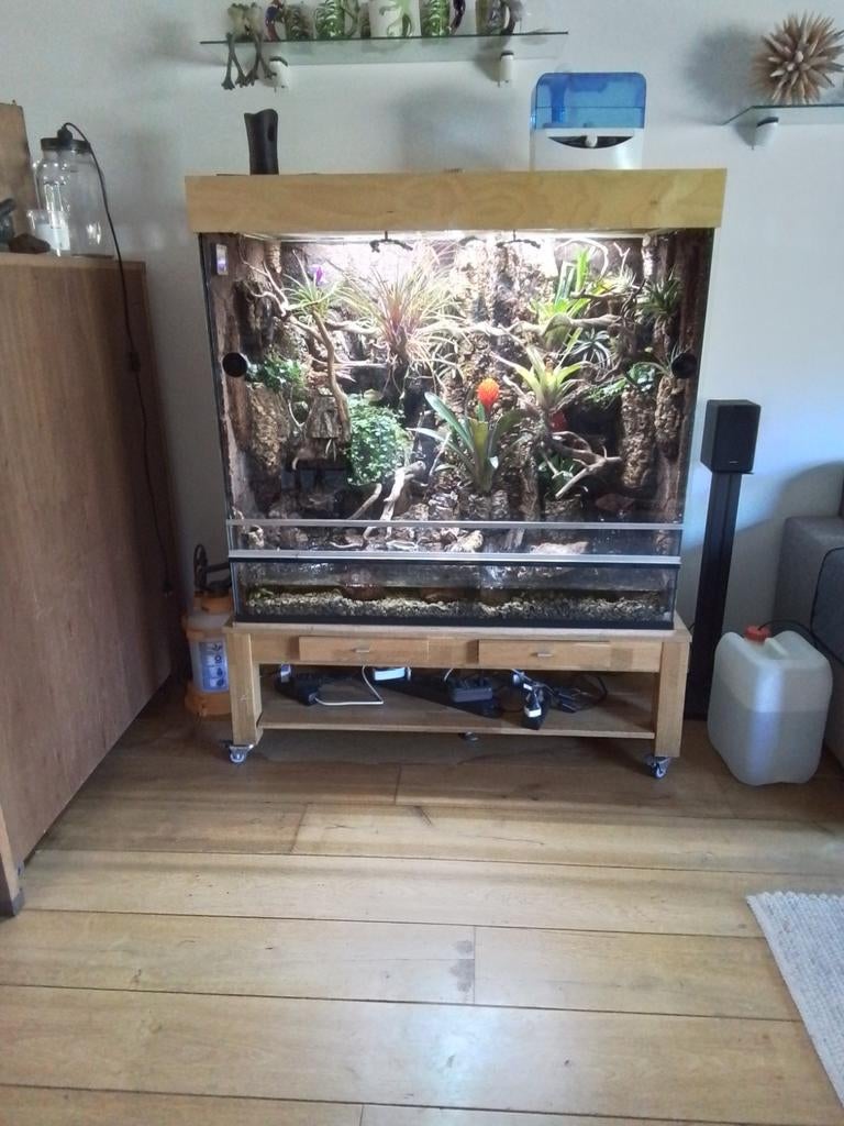 Groot palludarium met 3 bijengifkikkers, Ophalen, Gebruikt, Terrarium of Paludarium