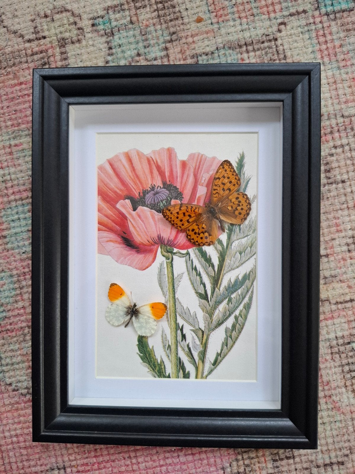Prachtige Unieke 3D Vlinderlijst met Botanische Print, 21 cm, Nieuw, Ophalen of Verzenden, Fotolijst