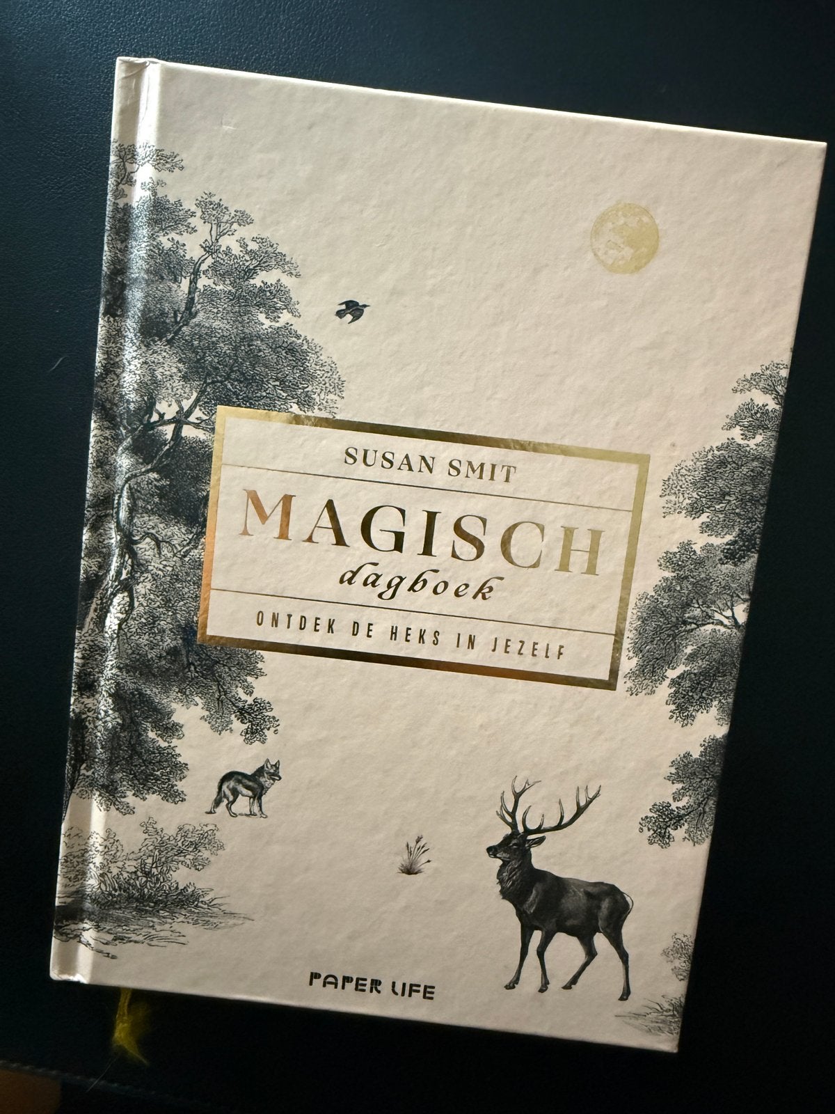 Nieuw: Magisch Dagboek van Susan Smit, Ophalen of Verzenden, Nieuw, Spiritualiteit algemeen, Overige typen