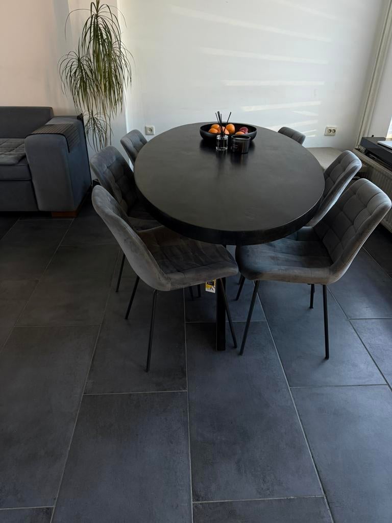 6 grijze velvet eetstoelen, Huis en Inrichting, Stoelen, Ophalen of Verzenden, Zo goed als nieuw, Vijf, Zes of meer stoelen, Eric kuster