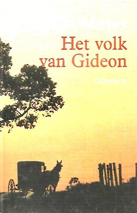 Het volk van Gideon - Carolyn Meyer, Boeken, Ophalen of Verzenden, Zo goed als nieuw
